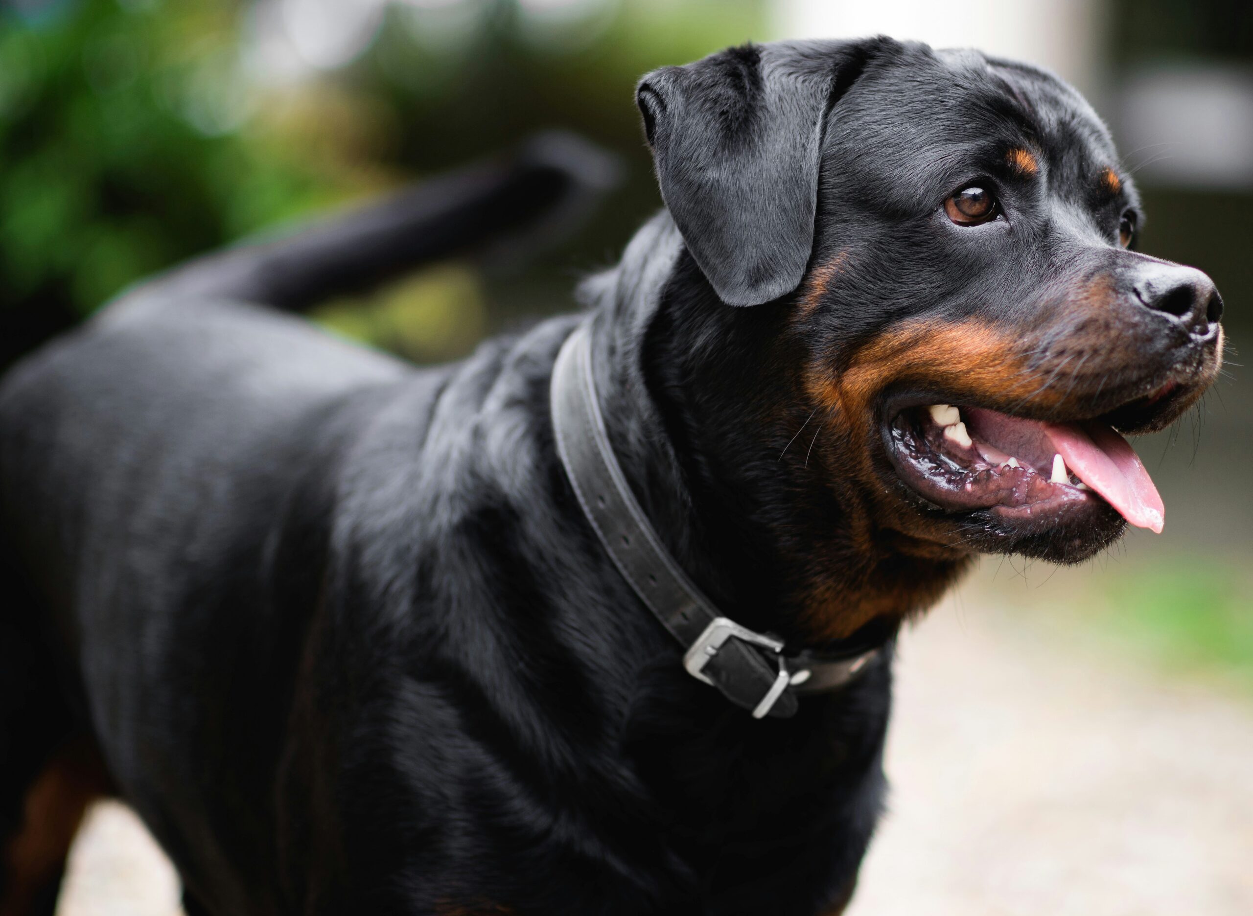 michael-jahn-DtIjK44du7g-unsplash michael-jahn-DtIjK44du7g-unsplash